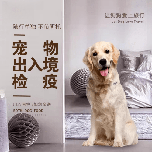 河北省宠物托运到哥伦比亚猫狗宠物入境规定和