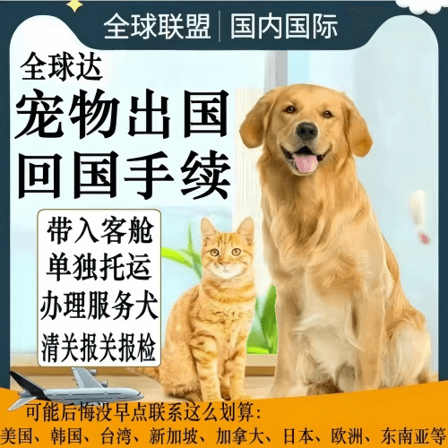 河北省宠物托运到柬埔寨宠物入境规定和要求