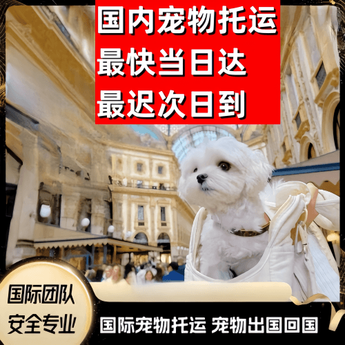 河北省到澳大利亚（澳洲）宠物入境规定和要求